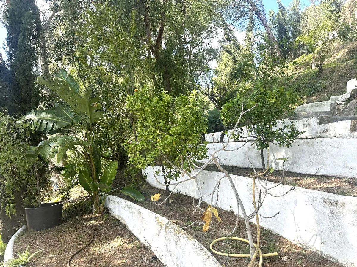 248c18e0-1deb-48ee-935a-c2f12457469a