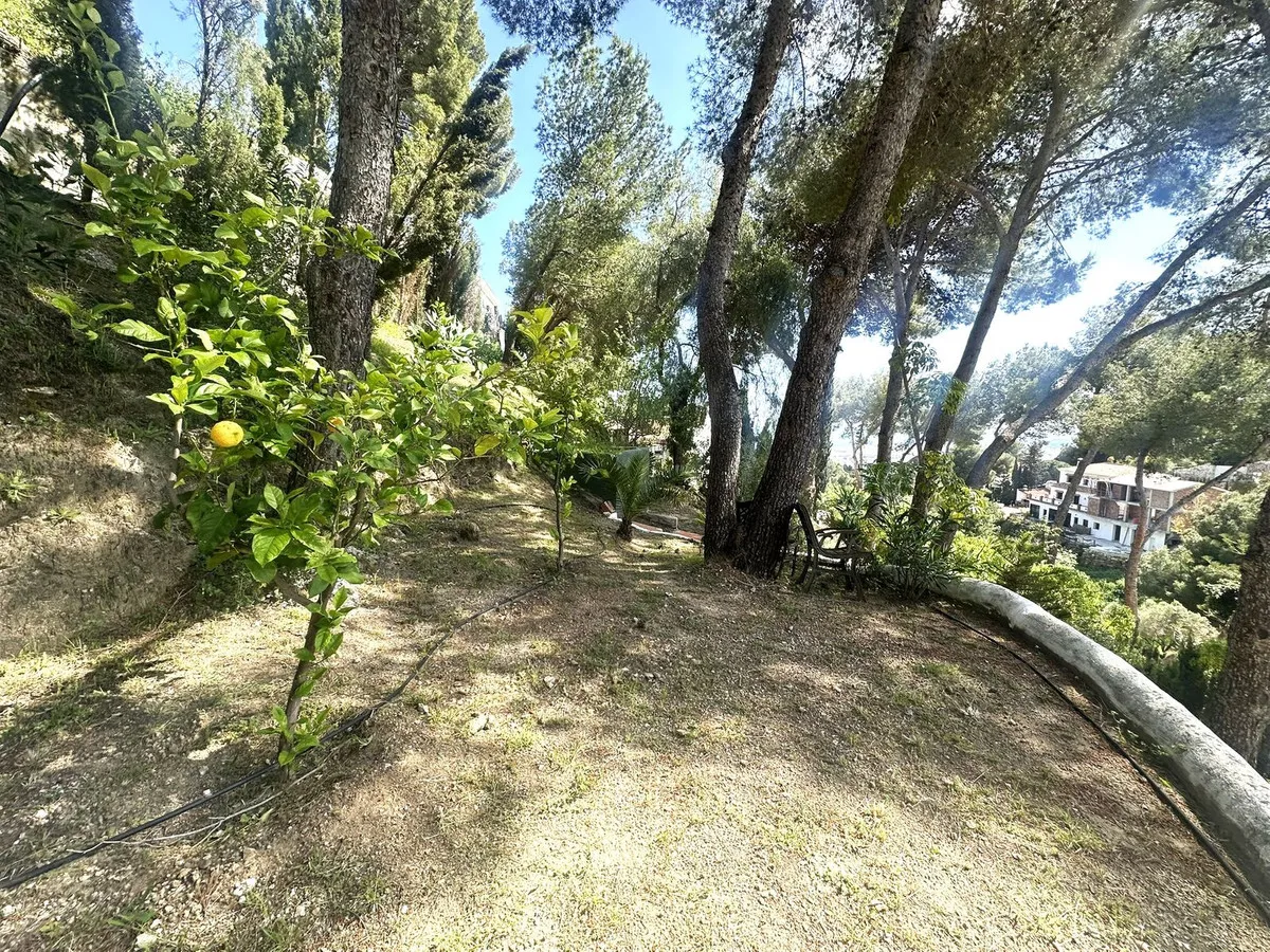 f39b33b8-e2d1-44e4-91ed-c308eff420c1