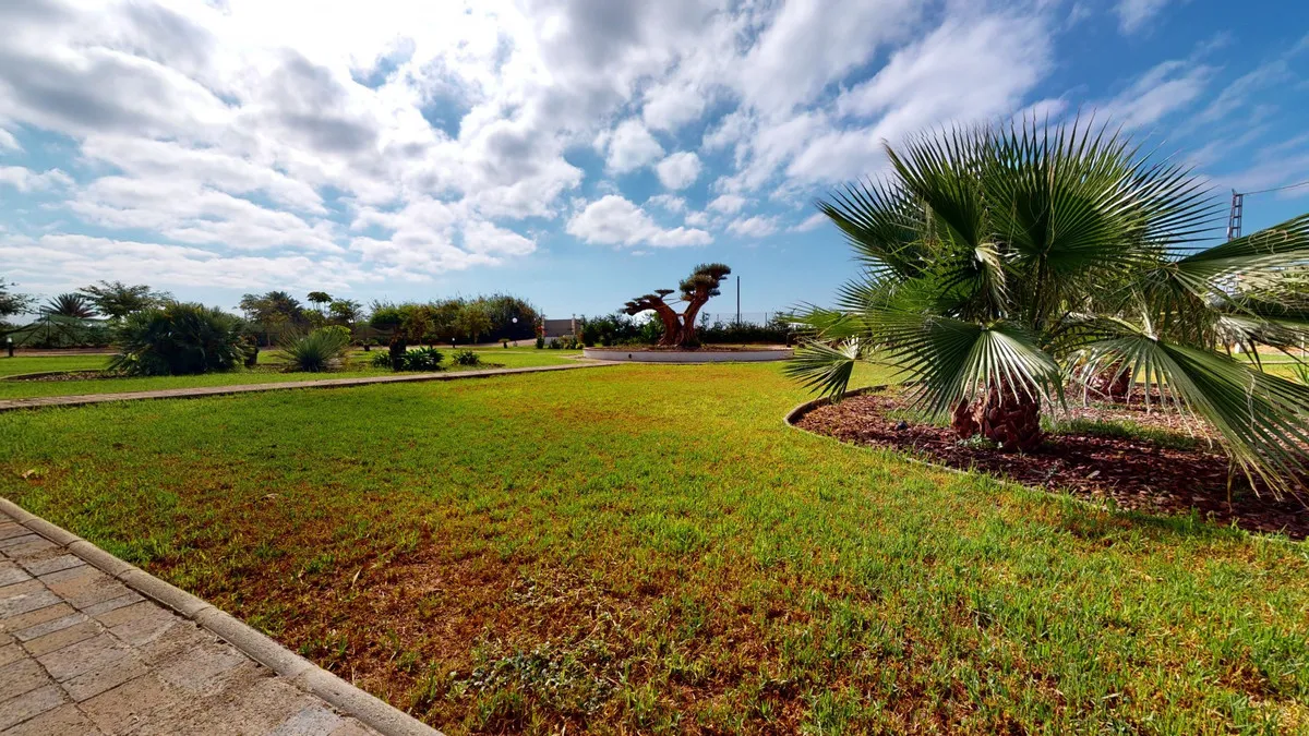 56b351c9-1804-4ee6-ac15-6ad55c3cd28d