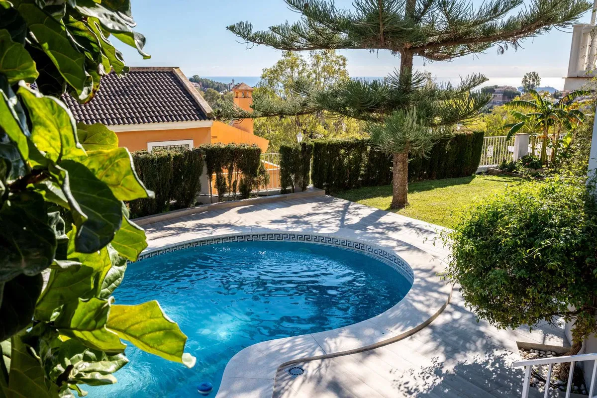 b2b338a9-fc4f-45c7-a031-734a9654fadc