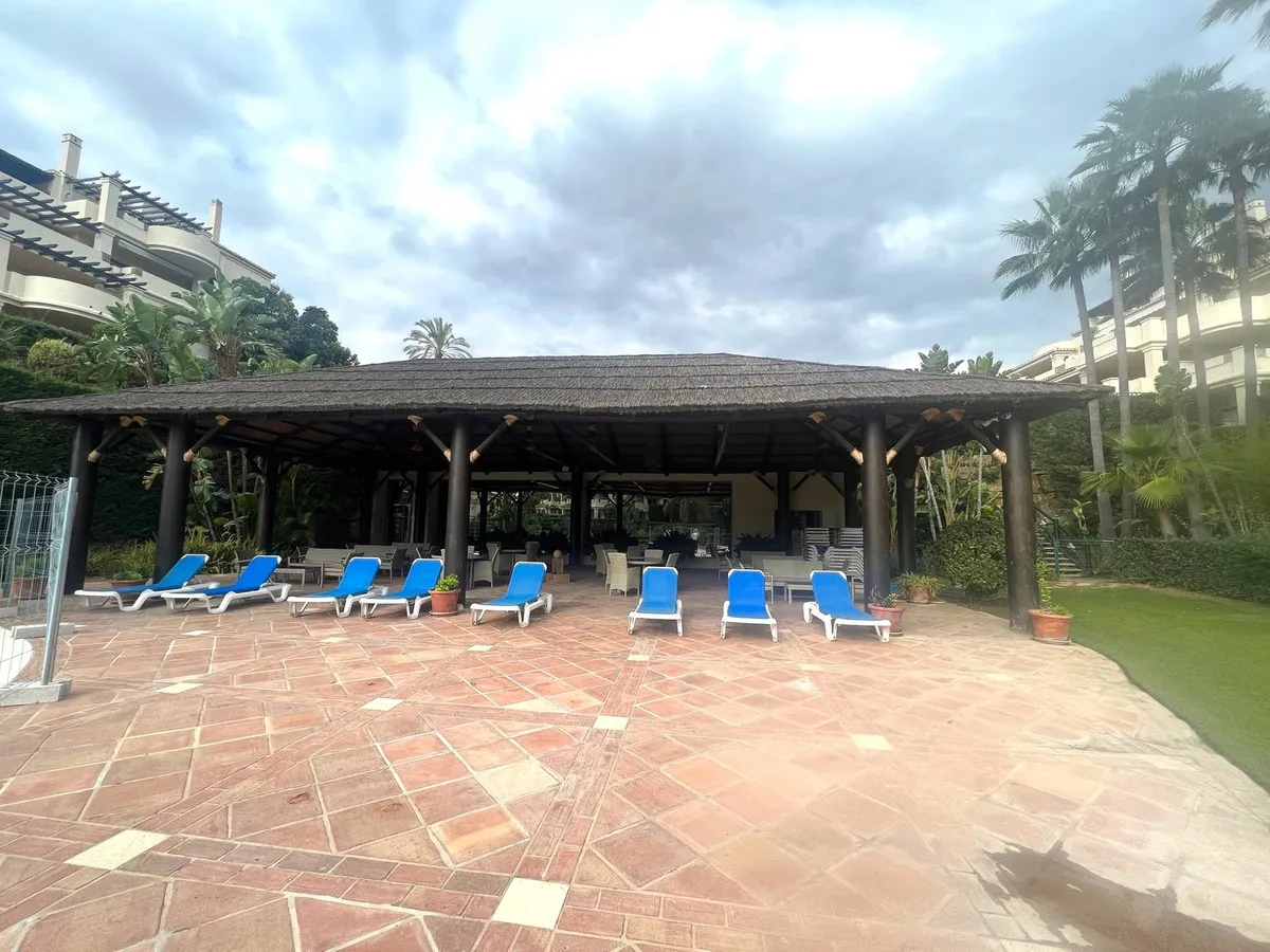 ceace8ff-94f5-447a-a1f8-58a311b56aa8