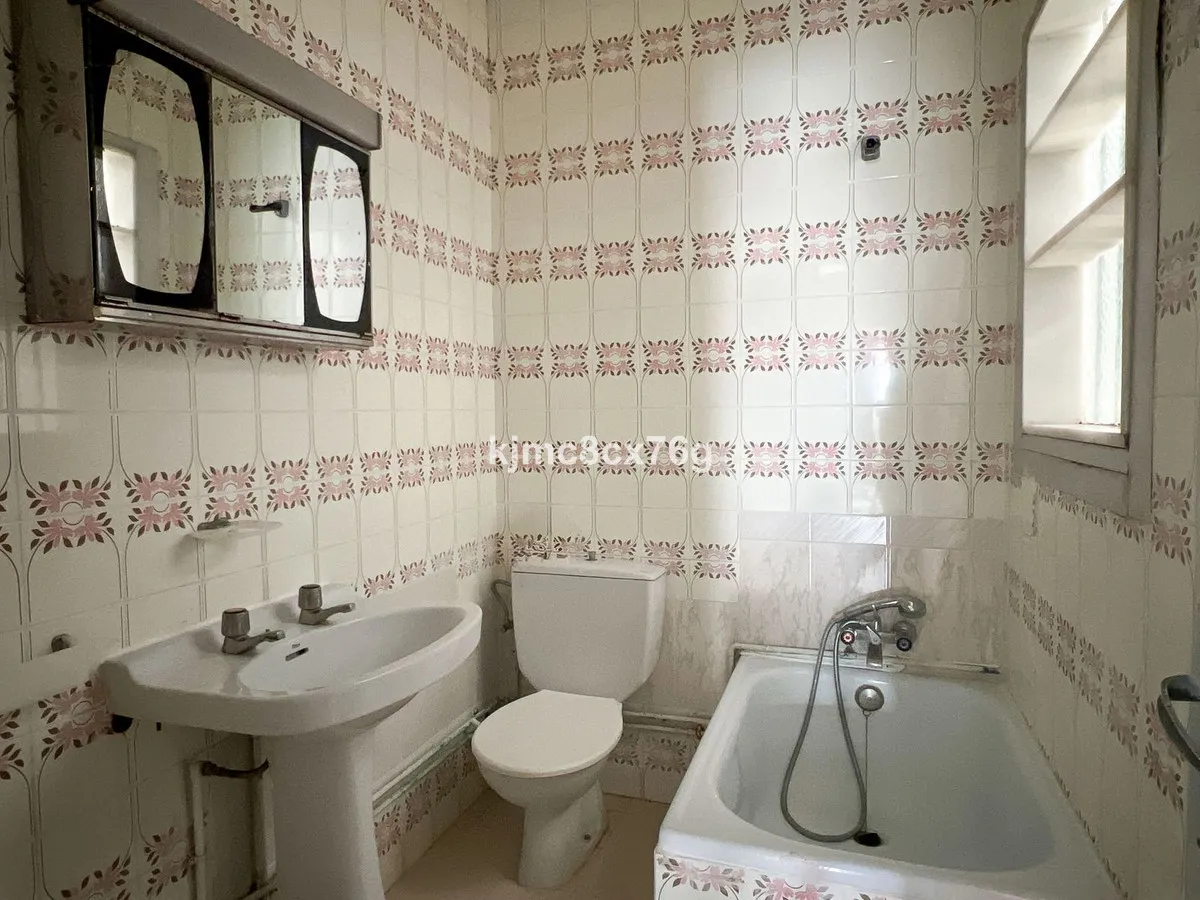 02d0fe4f-a0e2-435c-8110-2c056cbda196