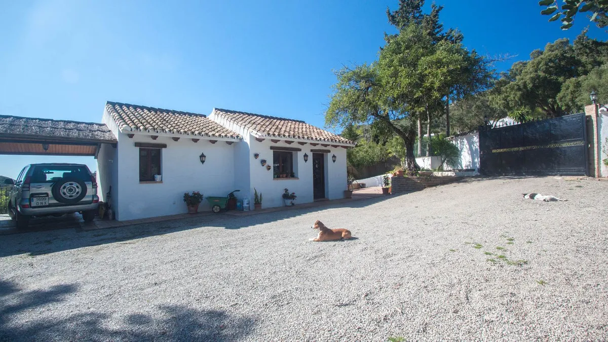 3c835ba1-d824-4650-9db2-f191e7939a41