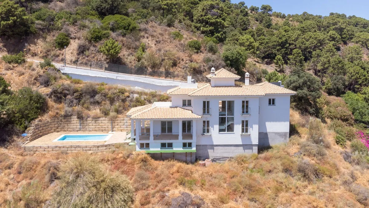 d24a8d41-4ff3-4091-8837-1896af5815cc