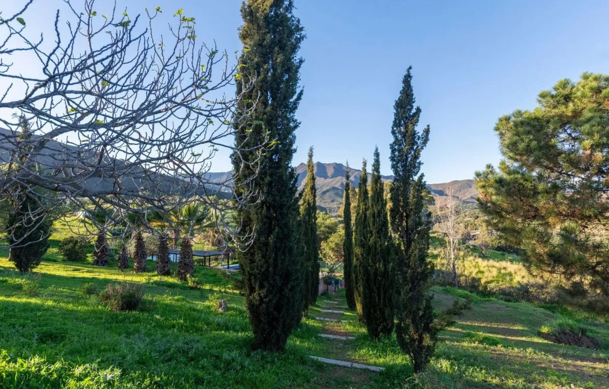 61cb98a0-2a88-491d-930e-1bdd04161af1