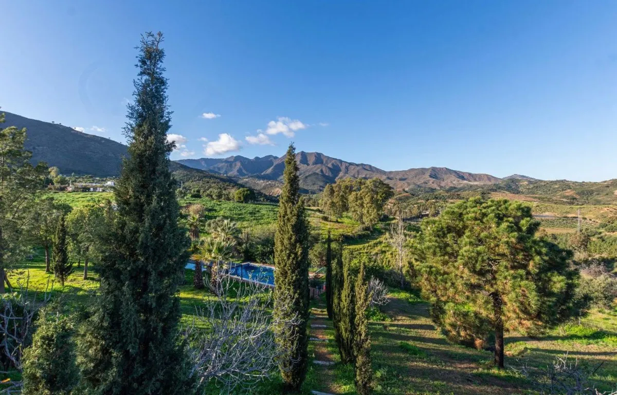 909e995d-7224-451e-b66e-22cc6998fc0f