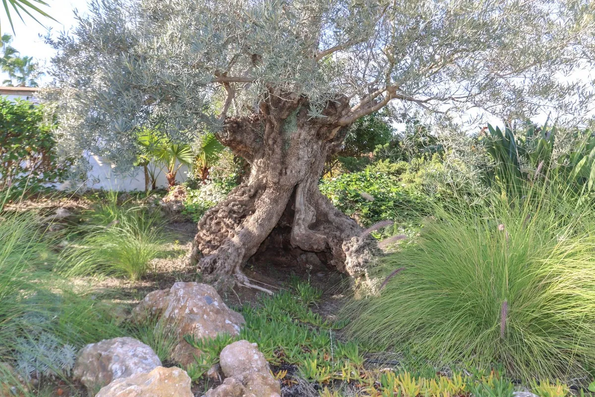 4b459bf0-990e-44eb-8dd4-856a39c89616