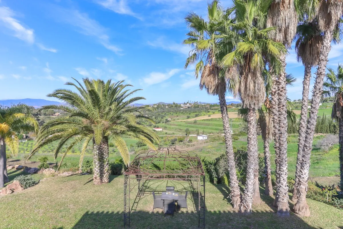 caea80a5-7cc8-4962-8655-3b0c3ae0bc02