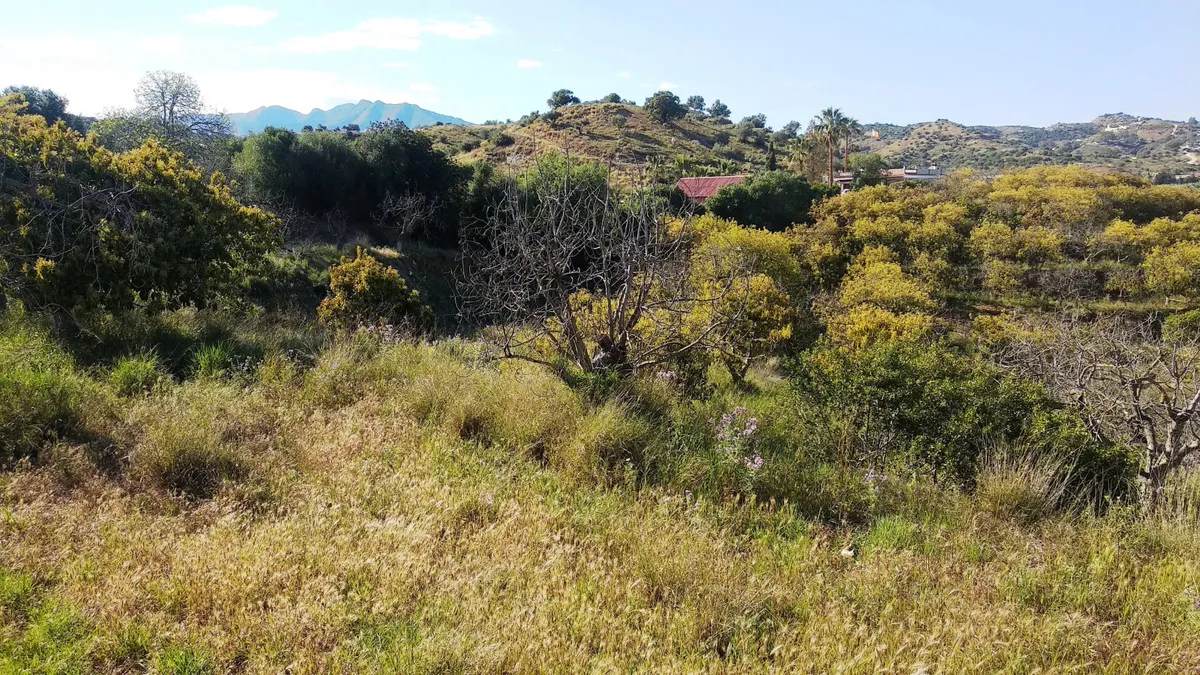 aab3f5f5-e41b-45c9-85dc-8ab6c82efebe