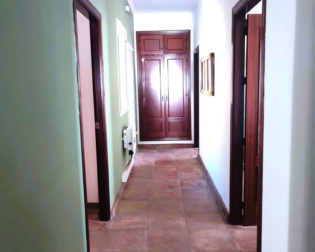 08e5829a-9c13-4dc8-ba06-783994fa0987