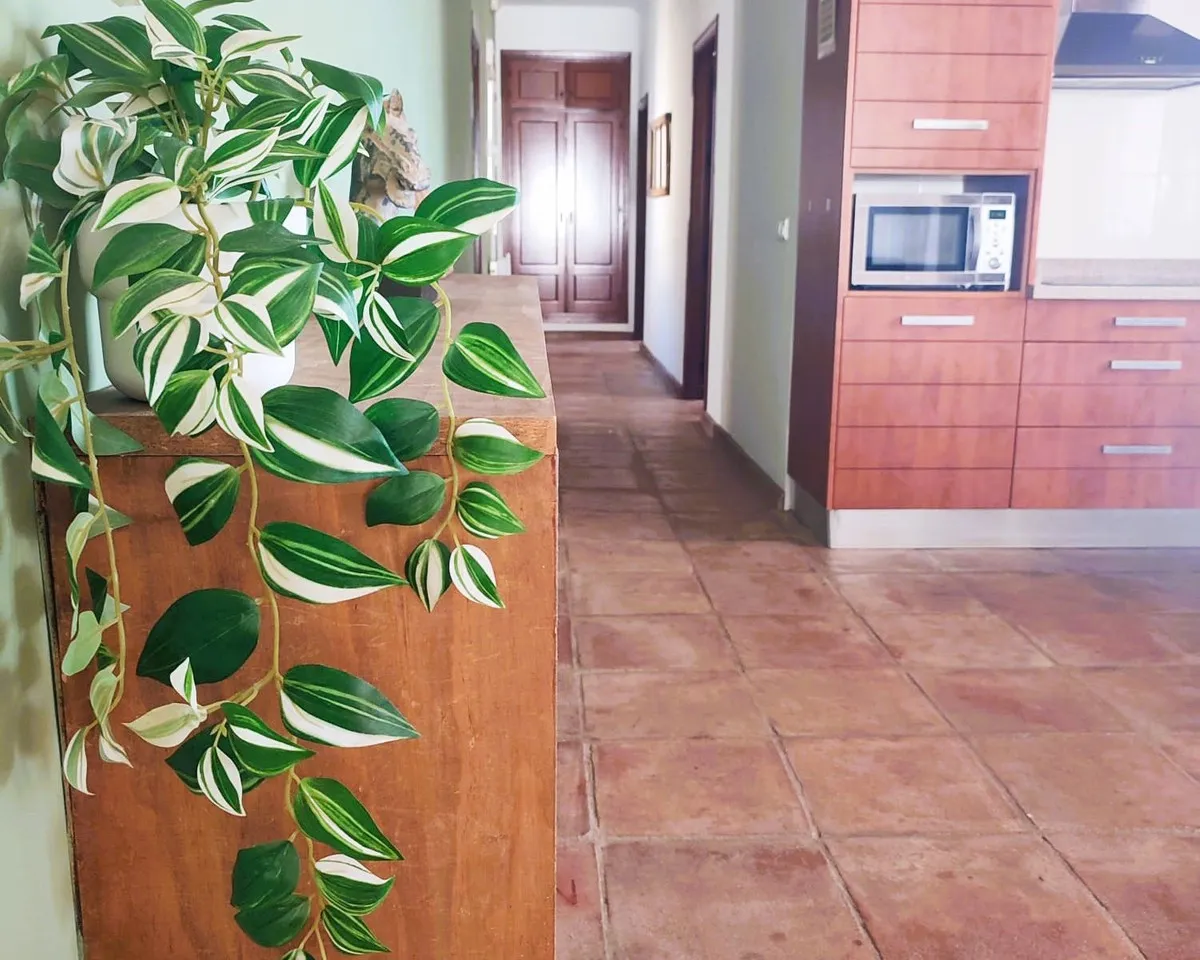 16542fd6-7334-4913-a7a3-515287abede3