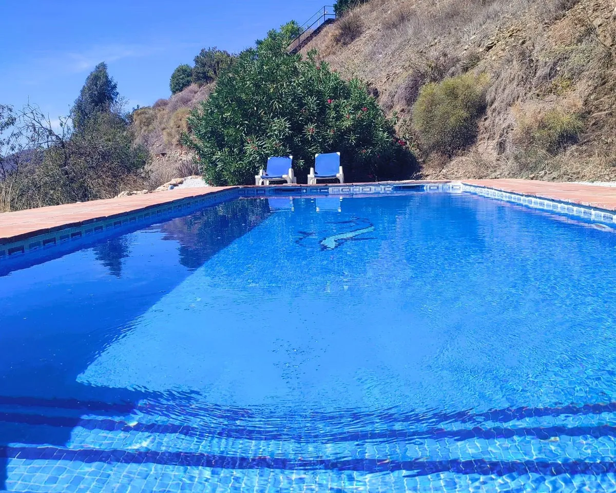 2d4d8f94-c7f3-49f9-8ccf-2e6de6772f18