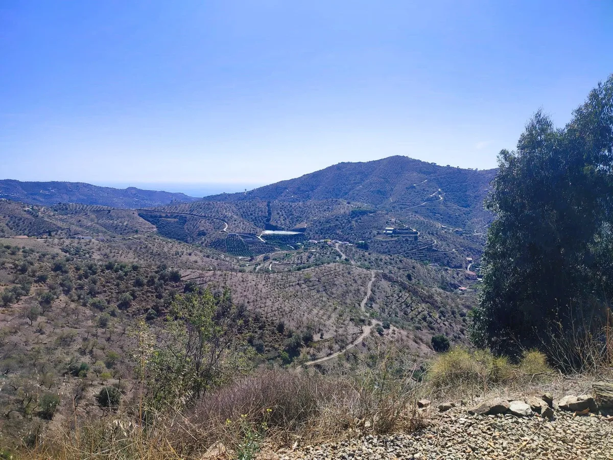 41c6417b-cc0b-4f40-8f86-bee7c7e162c3