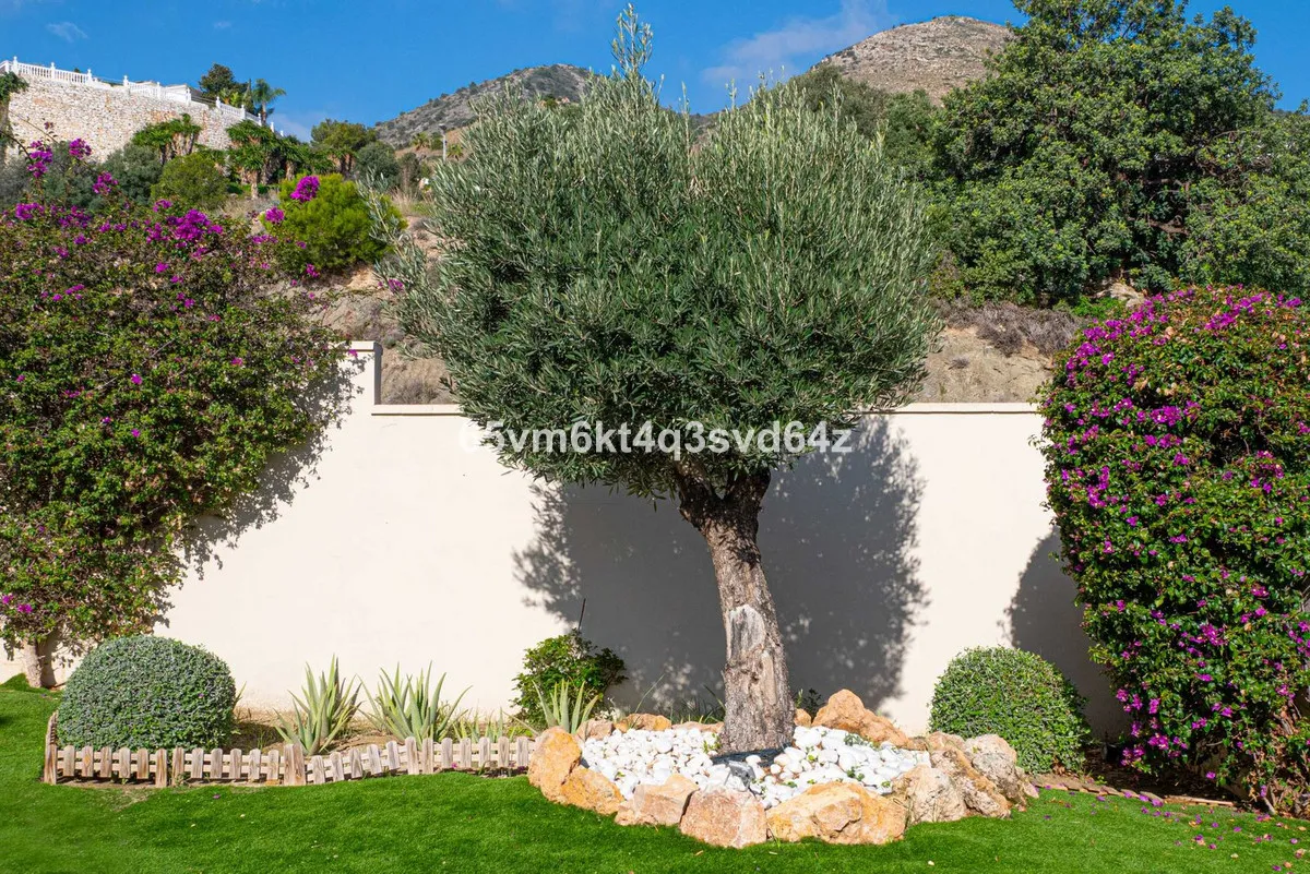 6d849be4-e5fd-4203-a263-9fcc1a95532f