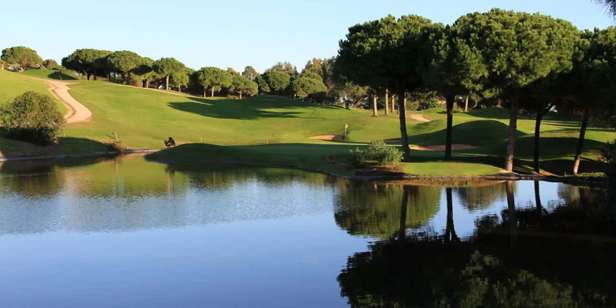 4a163982-3c5a-4fb8-b885-49febd540aa6