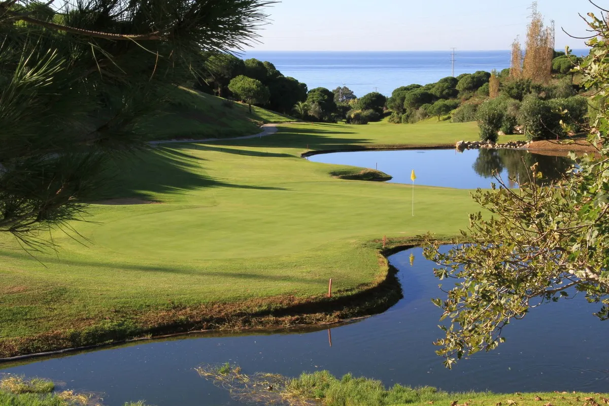 c51117d9-499a-45d7-97dc-1b81b124e914