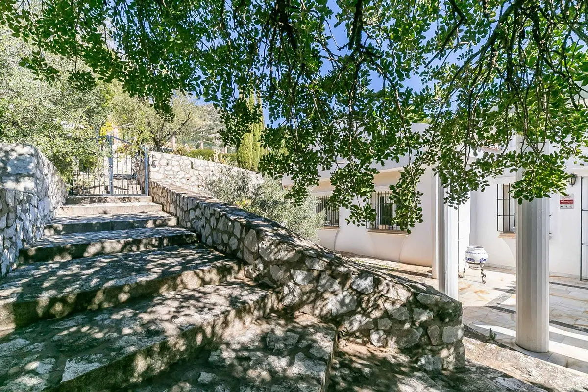 46957ac0-ee22-4a9f-ade8-c16a9020d0c5