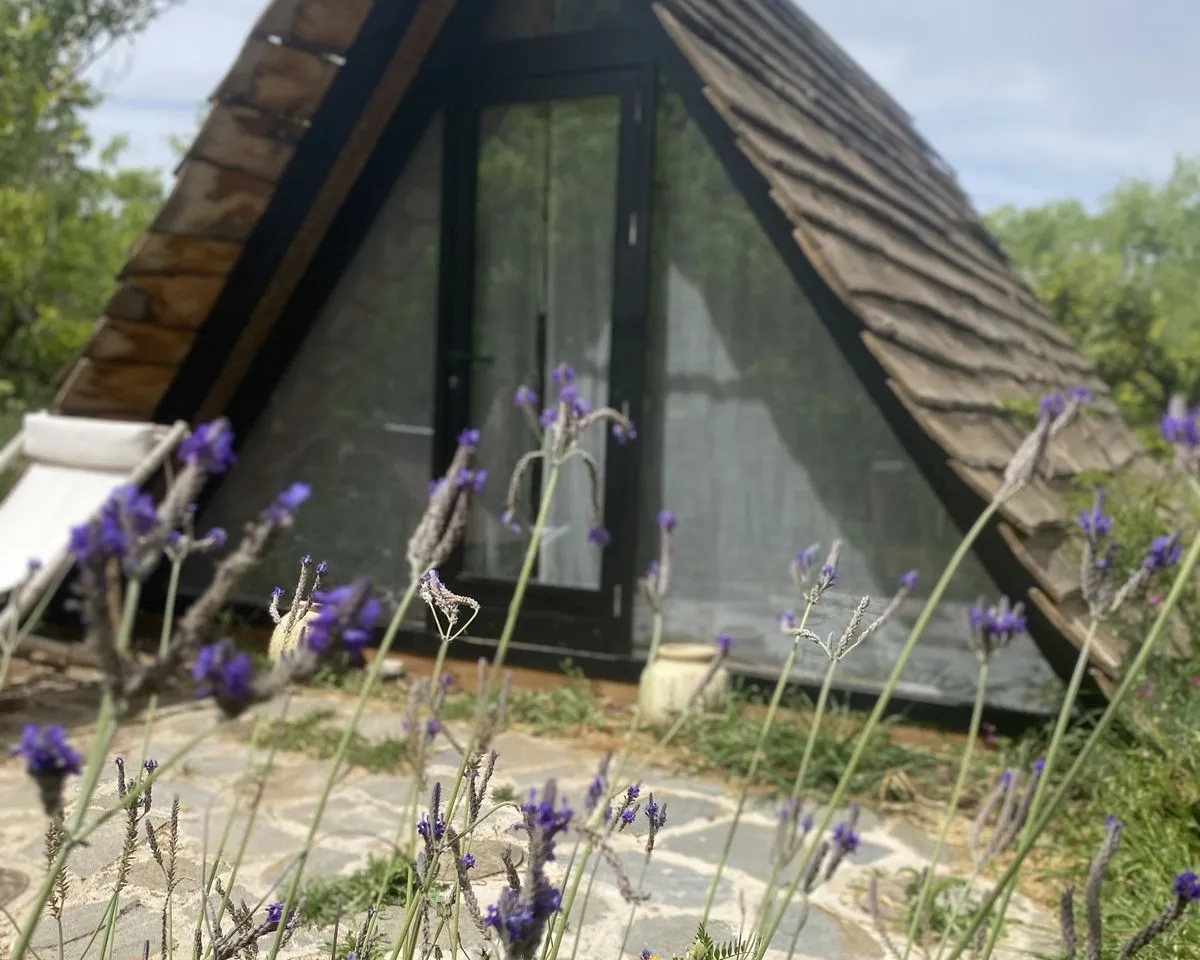 36e9620d-51a6-45a3-9935-f79d0d1eee72