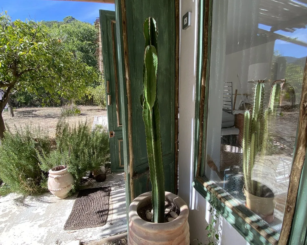 55877fac-86f1-4dbd-b7cb-0feceaa145b9