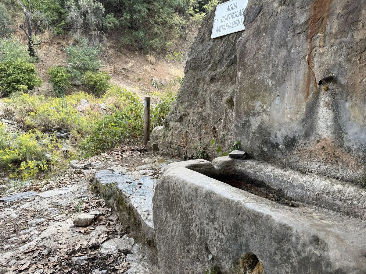 a1a477d5-00f5-441d-85c1-1b313c58d7fb