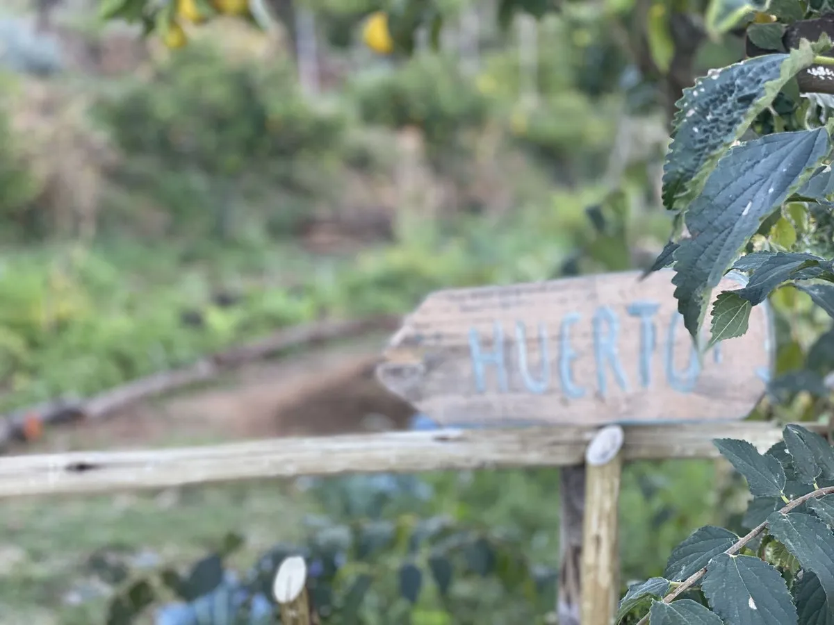 a7981b8a-db44-4b9d-8fc8-139b30ef4bb0