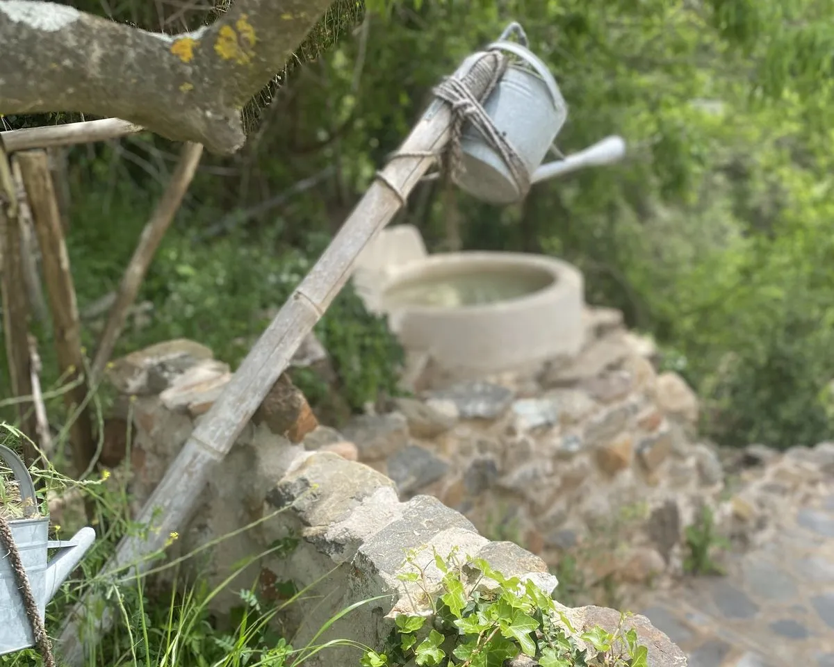 a88565c0-f625-457e-a5bd-5d9b6a6c0594