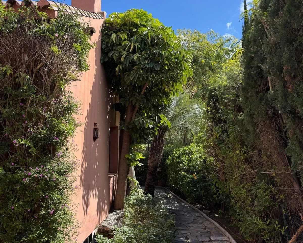 62d90baf-271b-4e48-b146-2e7b828c9d8c