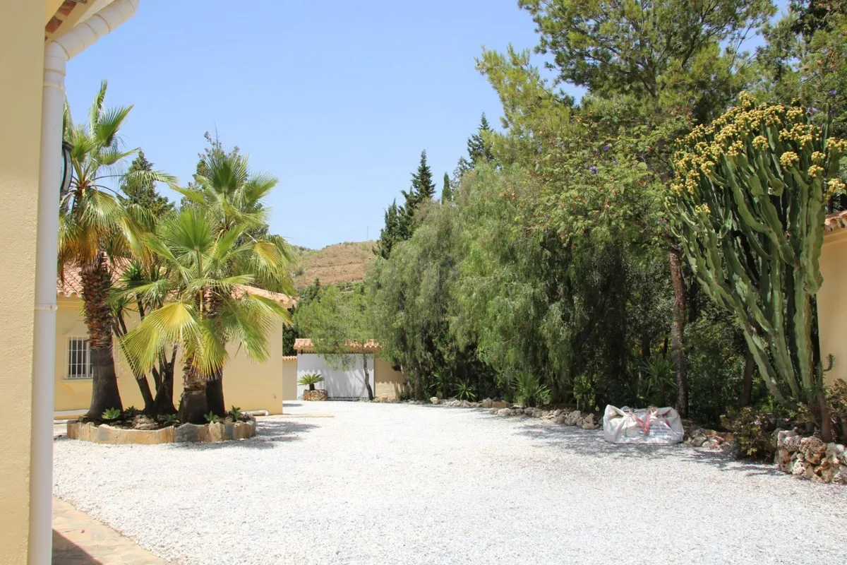 956f92e8-df31-4d98-8fca-8647eba3116c