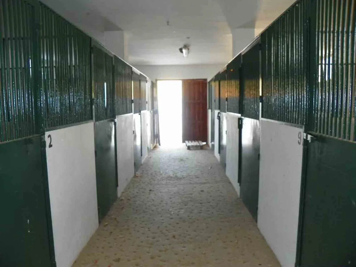 046b8a9f-0f2c-461e-a5ff-fbe879b5912f