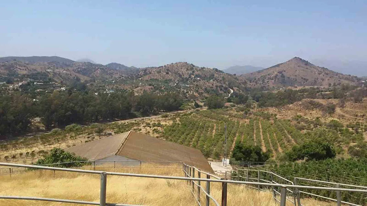 06ca8417-191d-4f33-80f1-1e987b2b328c