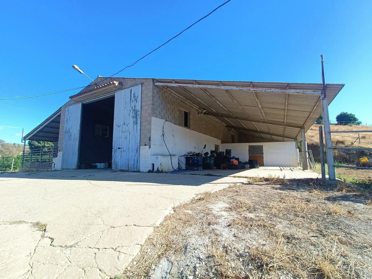 1d03654c-b394-495f-bebd-0d38c3234d8d