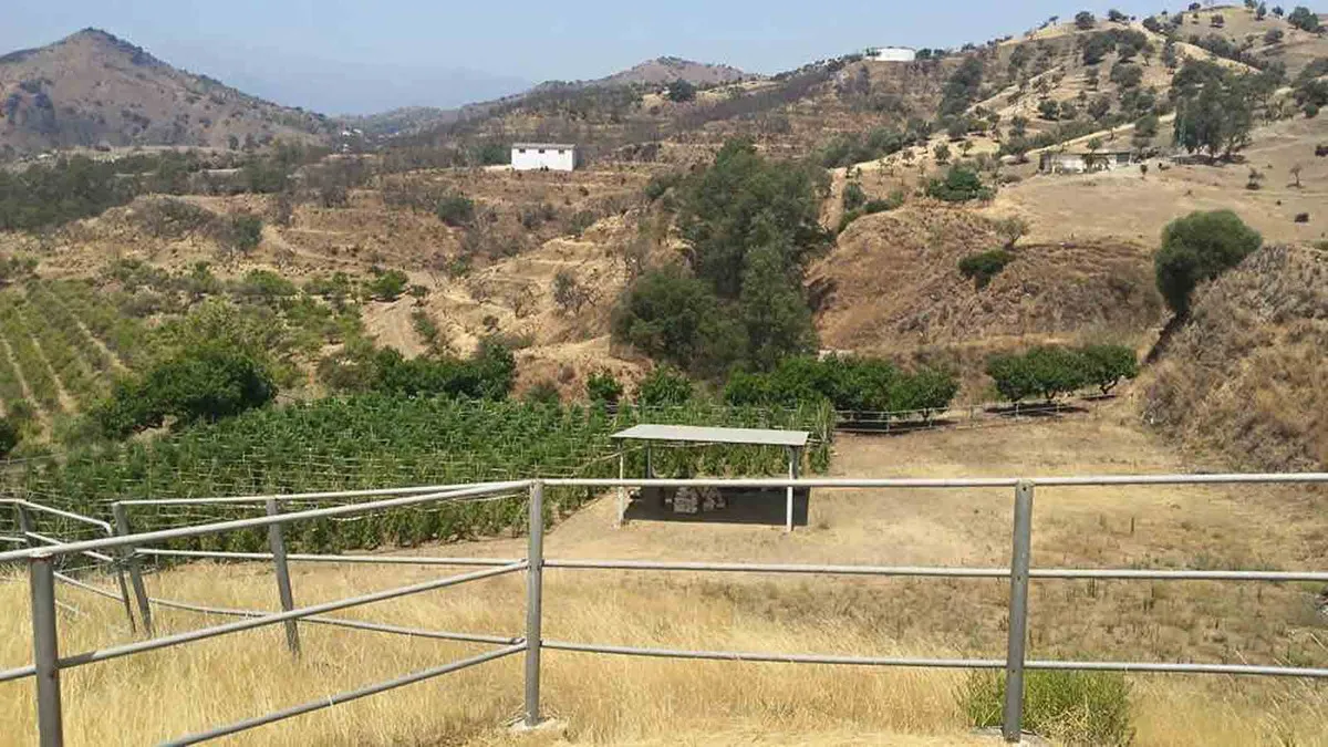 285a4f72-562d-43fe-a0ca-6bf8081d0509