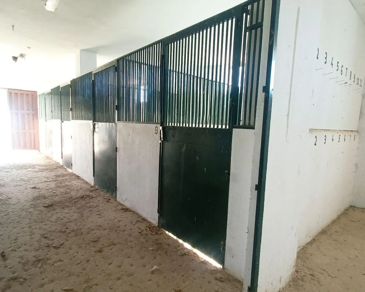 28e9d1be-5184-4794-86b0-486d8d5916e4