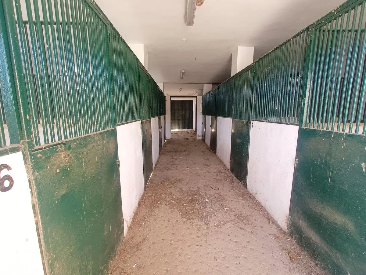 31f28fa5-730b-4c01-8fb1-2df39739712a