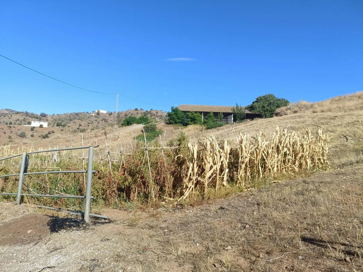 39601d87-3e94-4b5f-b858-89d5856f405f