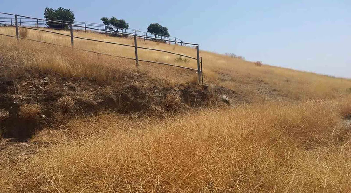 39c09617-40fe-463e-a8bb-c5e24898f23e