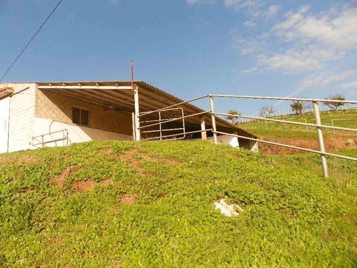 55d22645-30c2-4a34-a0d1-538a48b5bc9f