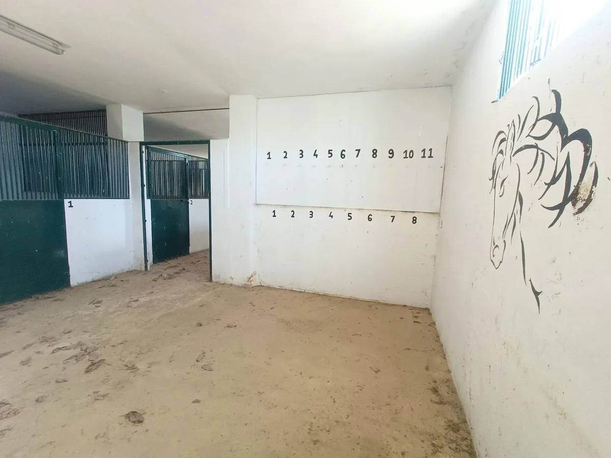 5828b7ed-5ab3-426e-82bf-a62810e7f423