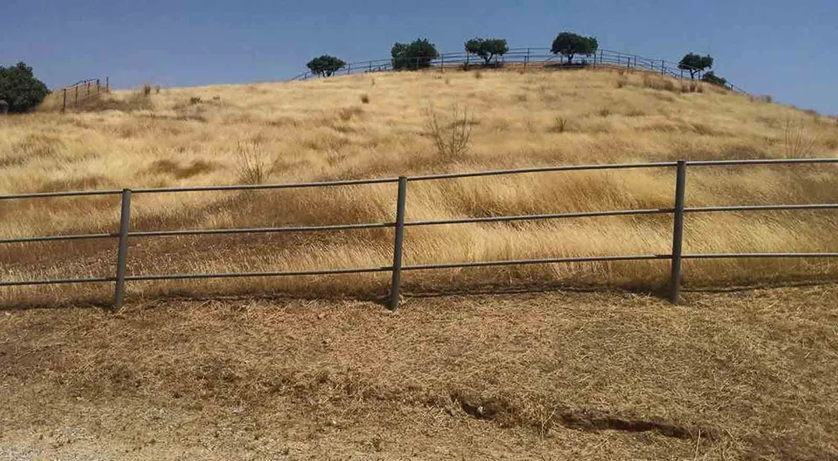 c51feb79-c3c0-4969-8963-96a234842386