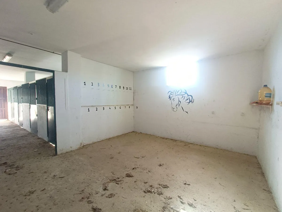 c573e282-d69d-4f9c-a53f-009e5601a45a