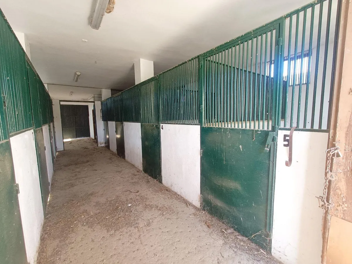 e7cb6e3b-6909-4a08-8b79-4e1980b49b32