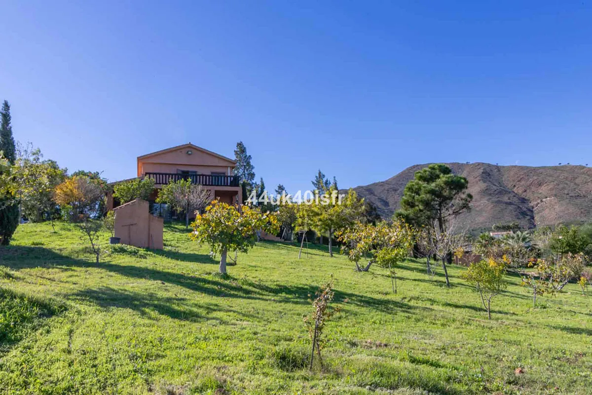 28b31993-34d7-4477-af80-cf725b266caa