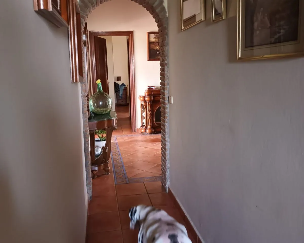 a3032a74-ab98-497a-923d-3e1857e11eb3