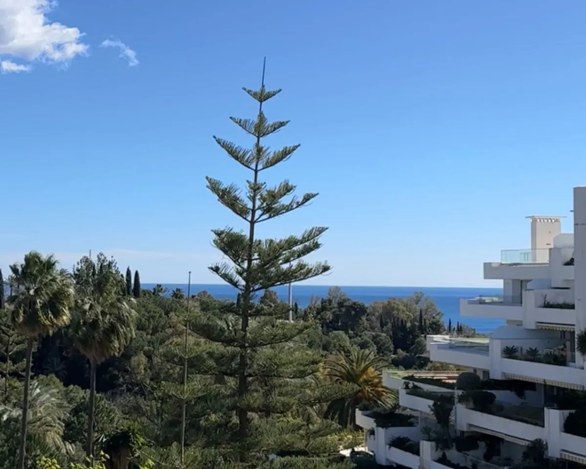 c529a5f0-e04b-4c54-a780-4f7110b9a803