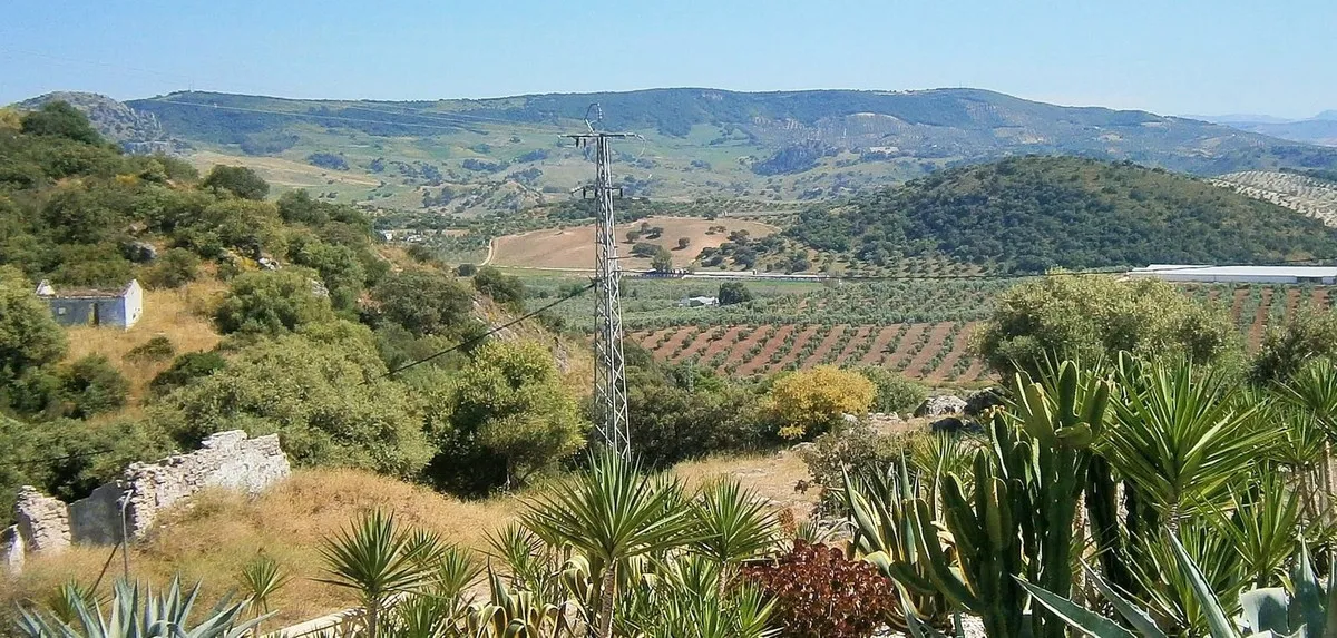 ee9fcb1f-caed-4bc1-9cd0-afdcde5e63f3