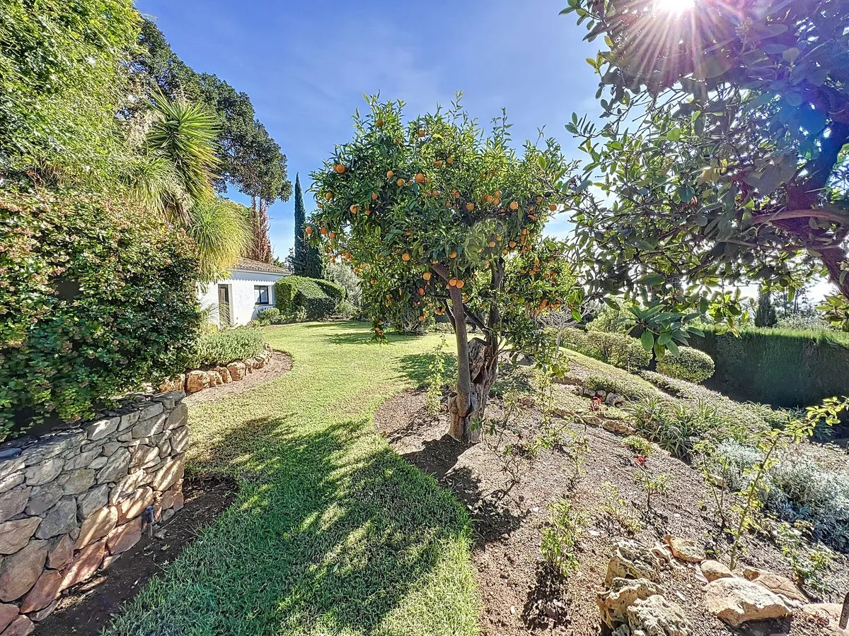 61dde254-3aa6-492c-b714-db2783ce1688