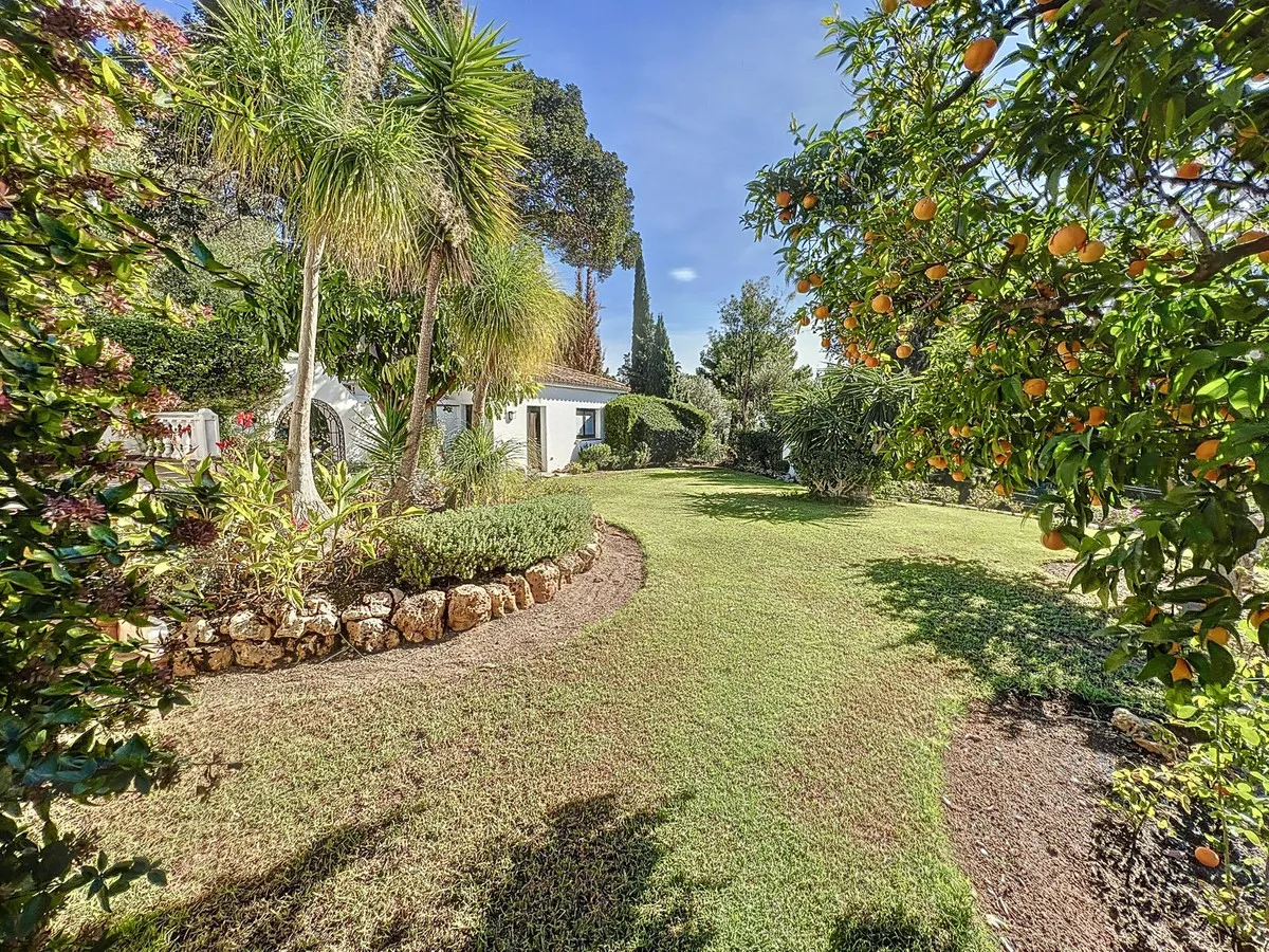 807e3800-e09a-4c99-8dc8-4bb440eb99bd