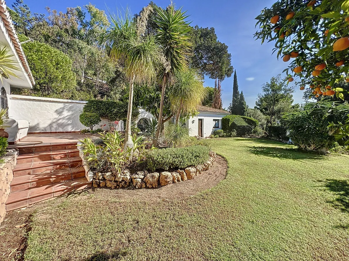 90495f6a-0f85-41c0-aadf-d27ce3aedbed