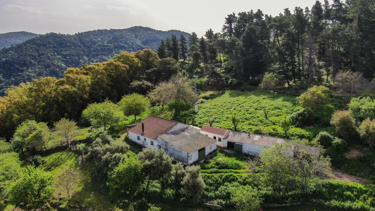 1496c0bd-816c-4545-ac0d-949163425612