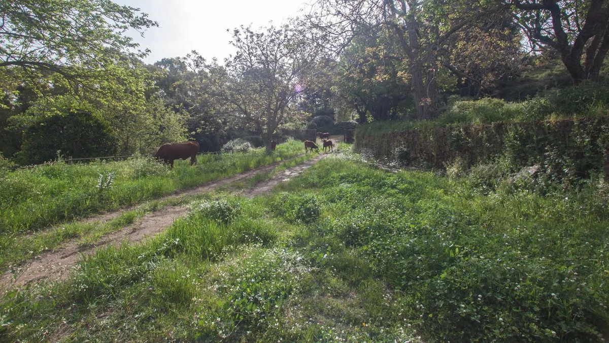 19401f59-ef38-462e-89d2-d6aa46701978